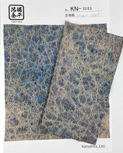 画像をギャラリービューアに読み込む, KNS-0089 サンプル帳