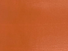 画像をギャラリービューアに読み込む, 1000   Hannary  metal   #43
