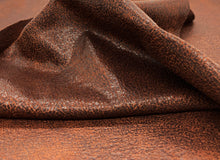 画像をギャラリービューアに読み込む, KN-0051
