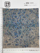 画像をギャラリービューアに読み込む, KN-0089
